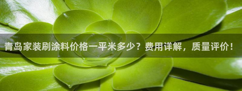 和记官网登陆：青岛家装刷涂料价格一平米多少？费用详解，质量评价！