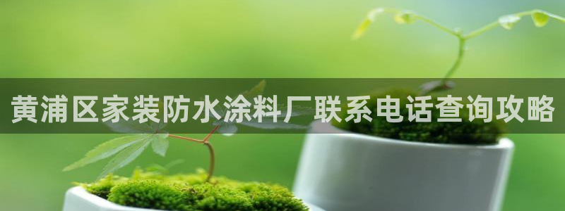 和记app官网登录：黄浦区家装防水涂料厂联系电话查询攻略