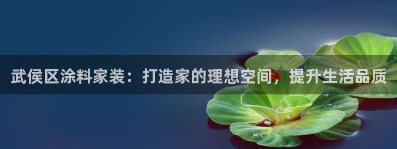 和记国际客服：武侯区涂料家装：打造家的理想空间，提升生活品质