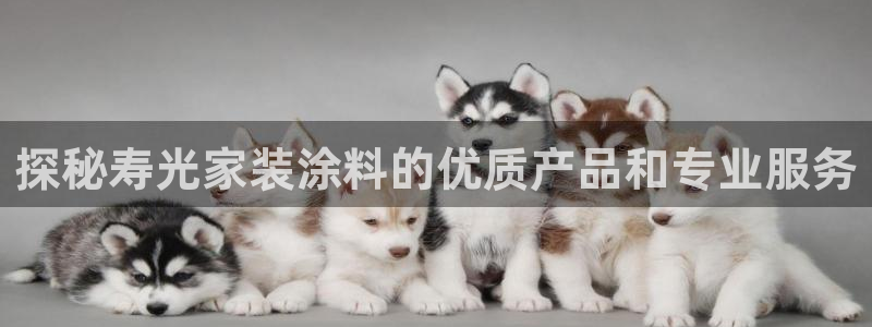 和记ag旗舰国际