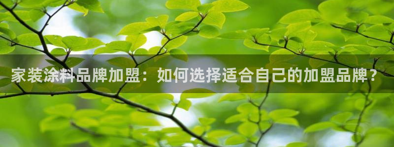 和记官方直营注册：家装涂料品牌加盟：如何选择适合自己的加盟品牌？