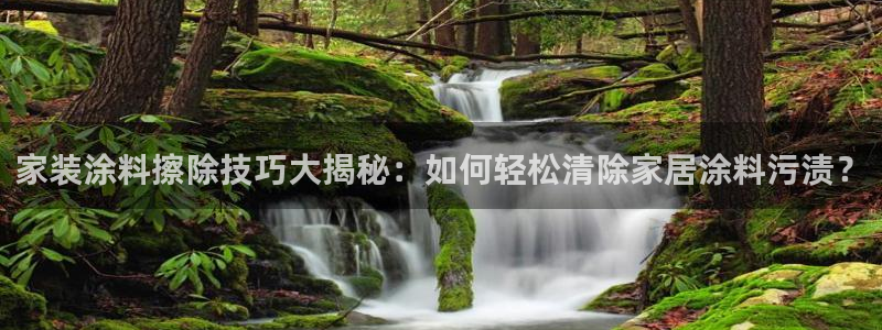 和记(福建)商贸有限公司招聘：家装涂料擦除技巧大揭秘：如何轻松清除家居涂料污渍？