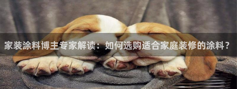 和记paging：家装涂料博主专家解读：如何选购适合家庭装修的涂料？