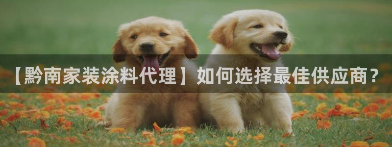 江苏和记餐饮有限公司：【黔南家装涂料代理】如何选择最佳供应商？