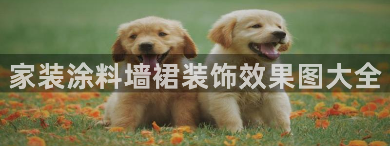 和记ag登录：家装涂料墙裙装饰效果图大全