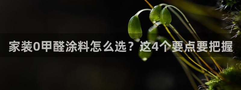 和记娱好网址：家装0甲醛涂料怎么选？这4个要点要把握
