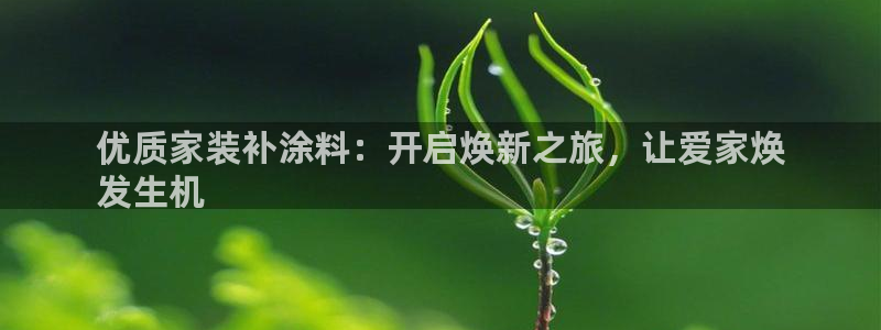 和记ag