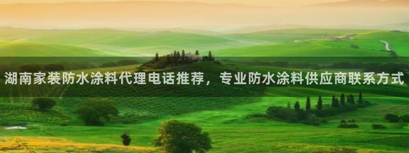 和记广告女主角