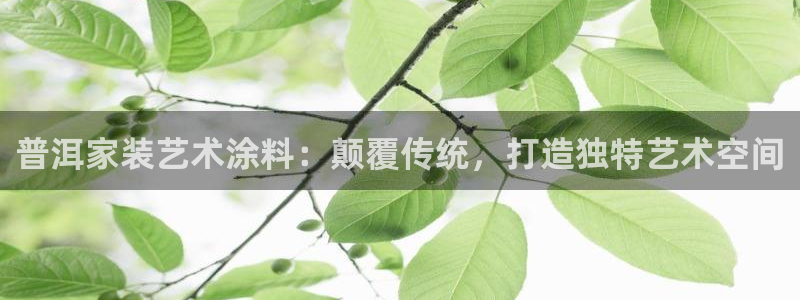 和记ag：普洱家装艺术涂料：颠覆传统，打造独特艺术空间