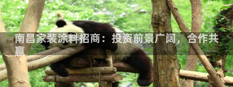 和记pc：南昌家装涂料招商：投资前景广阔，合作共
赢