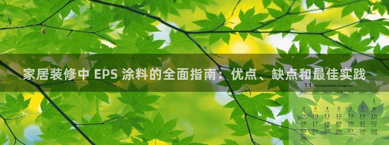 和记ag旗舰：家居装修中 EPS 涂料的全面指南：优点、缺点和最佳实践