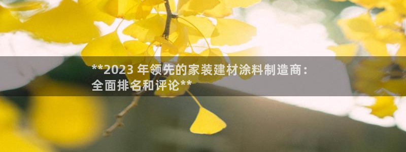 和记国际电讯市值：**2023 年领先的家装建材涂料制造商：