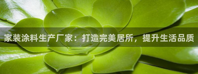 和记电业集团：家装涂料生产厂家：打造完美居所，提升生活品质