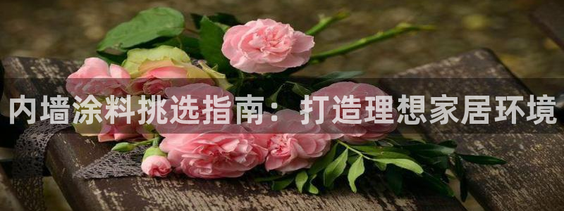 官方和记国际平台登录：内墙涂料挑选指南：打造理想家居环境