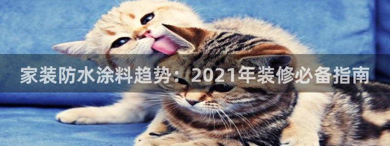 和记港口：家装防水涂料趋势：2021年装修必备指南