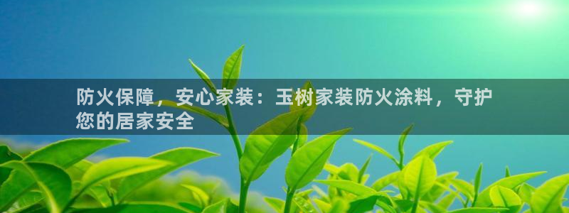 和记ag旗舰国际：防火保障，安心家装：玉树家装防火涂料，守护
您的居家安全