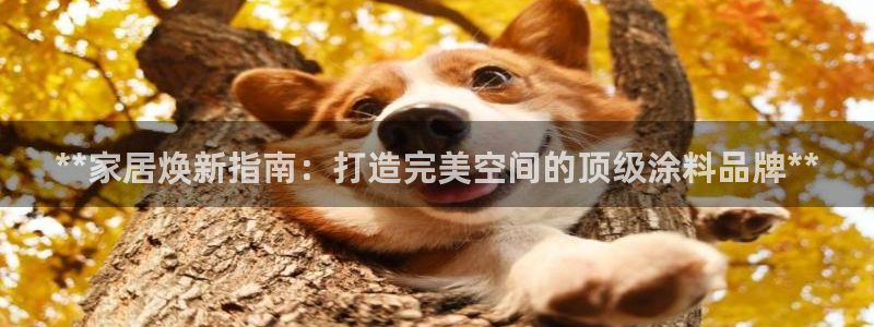 和记国际电讯市值：**家居焕新指南：打造完美空间的顶级涂料品
