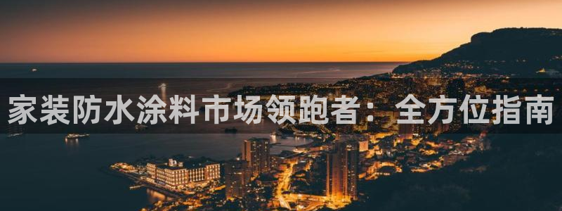 和记网页版：家装防水涂料市场领跑者：全方位指南
