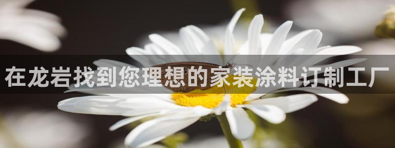 和记官网：在龙岩找到您理想的家装涂料订制工厂