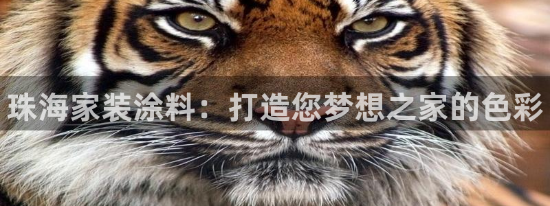 和记AG：珠海家装涂料：打造您梦想之家的色彩