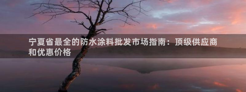 和记官网首页：宁夏省最全的防水涂料批发市场指南：顶级供应商
和优惠价格