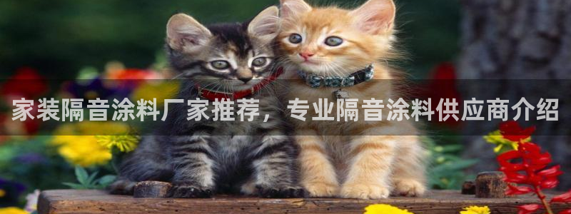 和记ag旗舰厅：家装隔音涂料厂家推荐，专业隔音涂料供应商介绍