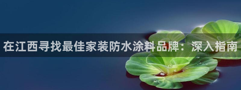 和记h88最新客户端下载：在江西寻找最佳家装防水涂料品牌：深
