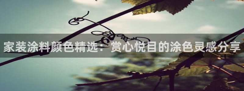 和记官方直营：家装涂料颜色精选：赏心悦目的涂色灵感分享