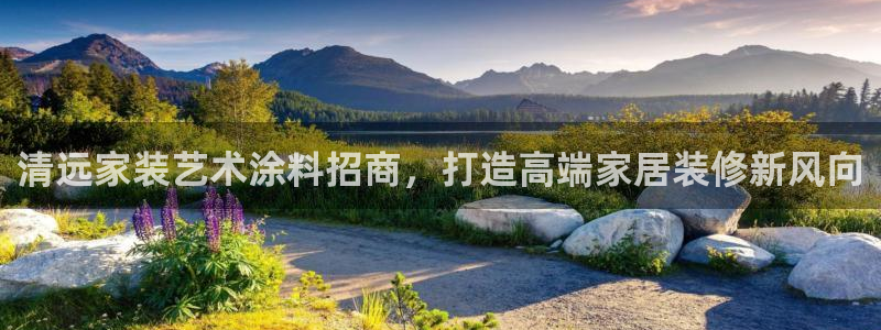 和记官方平台：清远家装艺术涂料招商，打造高端家居装修新风向