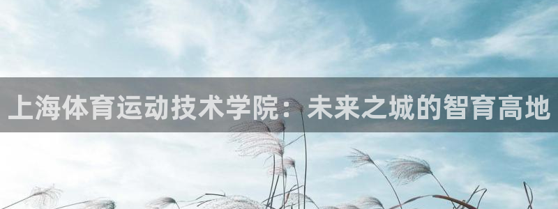 风速体育app下载安装最新版本