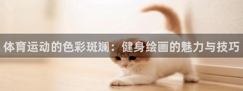 风速体育nba直播