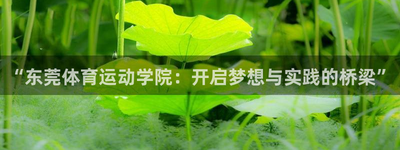 风速体育app下载安装最新版本