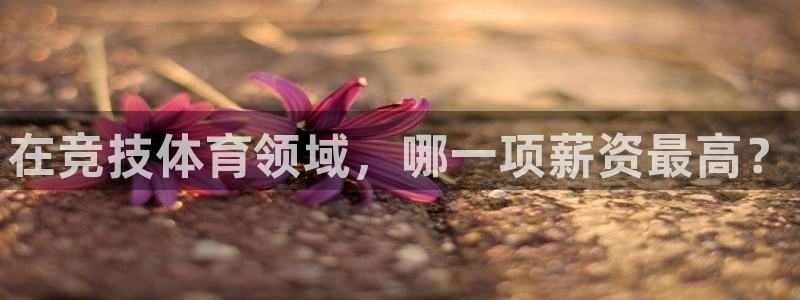 风速体育app官方下载