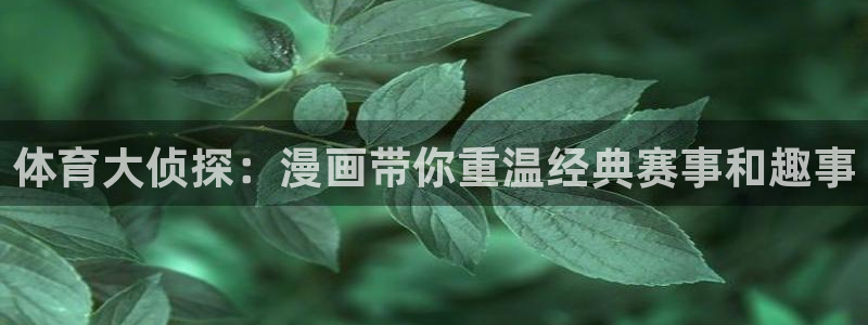 风速体育app下载官网最新版