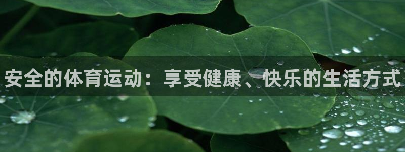 风速体育