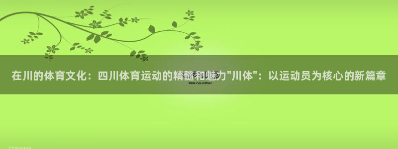 风速体育nba直播