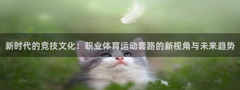风速体育app官方下载