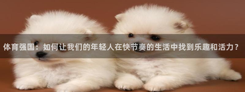 风速体育官网