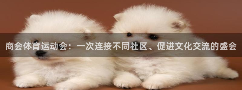 风速体育直播