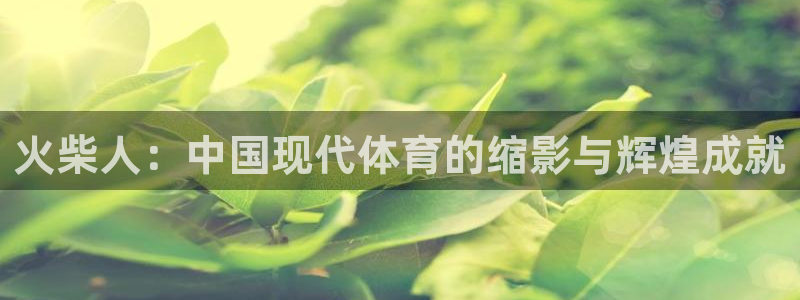 风速体育直播app