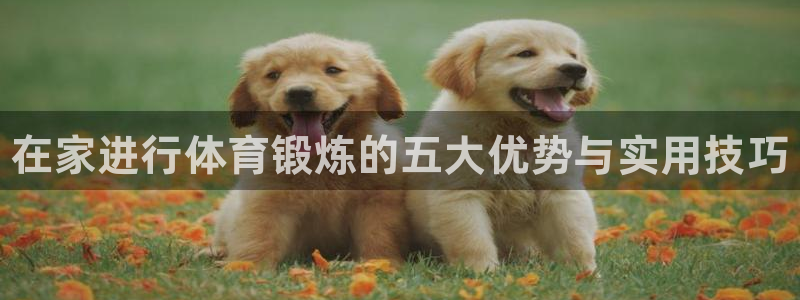 下载风速体育