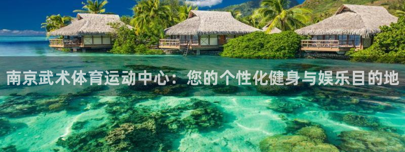 风速体育直播