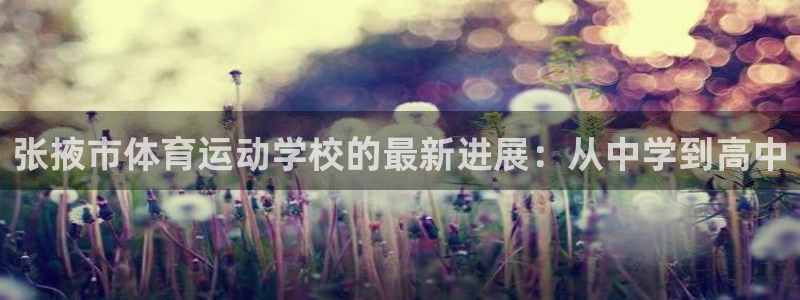 风速体育