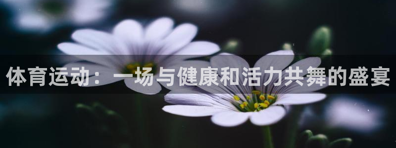 风速体育直播app