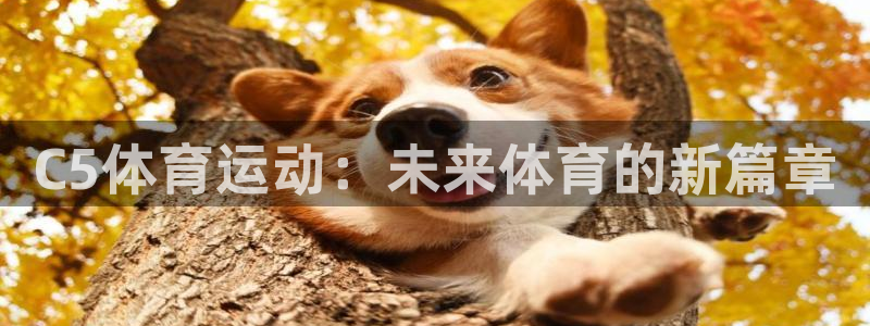 风速体育app官方下载