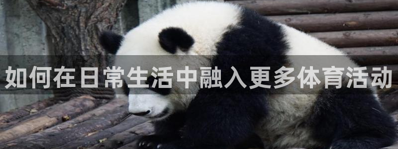 风速体育app官方下载