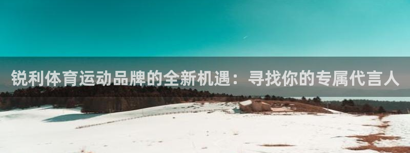 风速体育