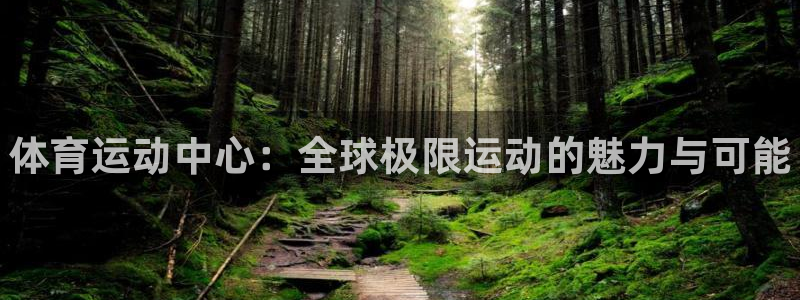 风速体育