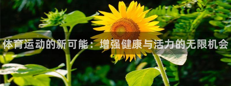 下载风速体育