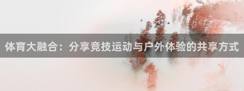 风速体育官网